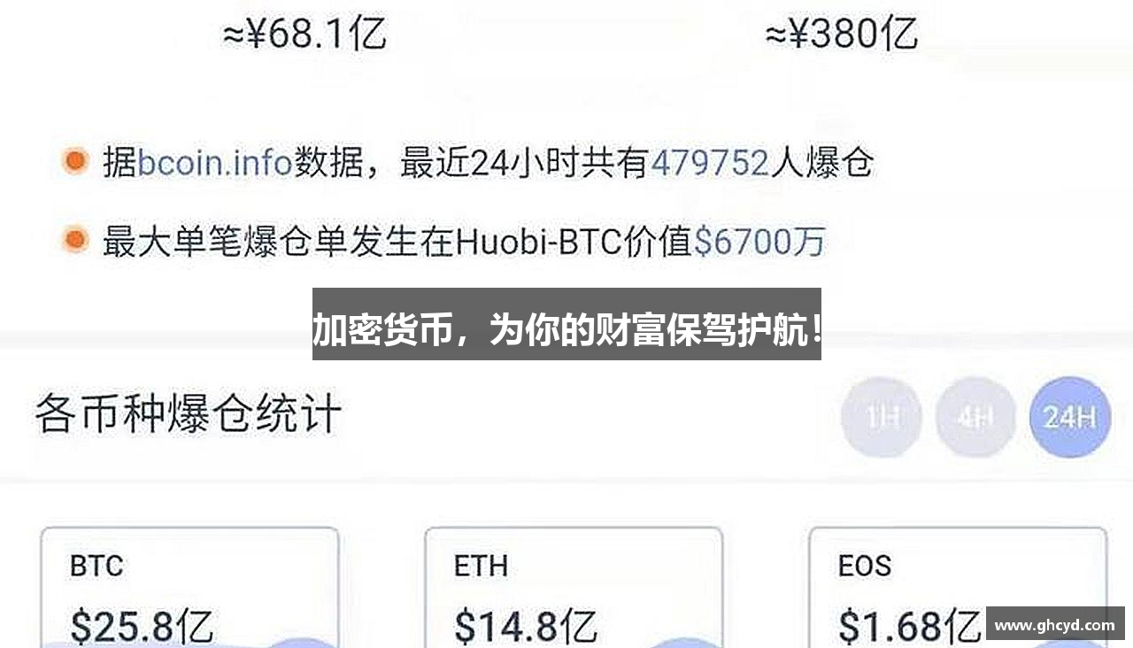 飞鱼加速器电脑版